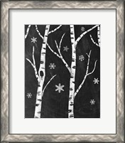 Framed Snowy Birches II