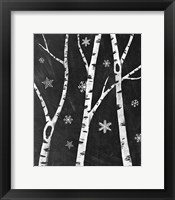 Framed Snowy Birches III