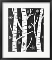 Framed Snowy Birches