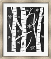 Framed Snowy Birches