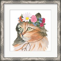 Framed Cattitude I