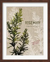 Framed Organic Rosemary No Butterfly