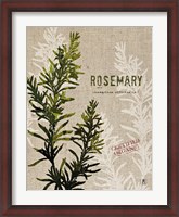 Framed Organic Rosemary No Butterfly