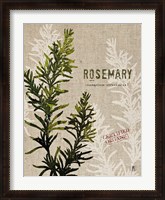 Framed Organic Rosemary No Butterfly