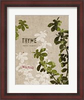 Framed Organic Thyme No Butterfly