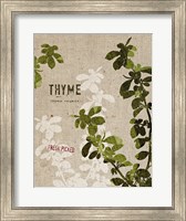 Framed Organic Thyme No Butterfly
