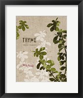 Organic Thyme No Butterfly Framed Print