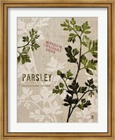 Framed Organic Parsley No Butterfly