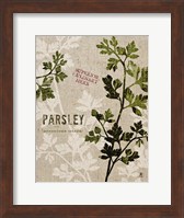 Framed Organic Parsley No Butterfly