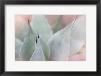 Dream Desert VI Framed Print