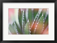 Dream Desert IV Framed Print