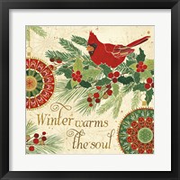 Framed 'Winter Feathers VI' border=