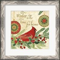 Framed Winter Feathers V