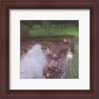 Framed Swamp, 1900