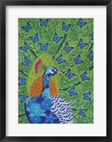 Framed Peacock and Butterflies