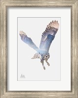 Framed Snow Owl II