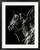 Framed Scratchboard Rodeo V