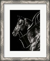 Framed Scratchboard Rodeo V