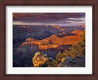 Framed Canyon View X