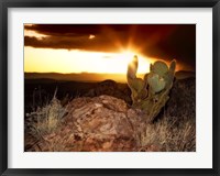 Framed Sunset in the Desert V