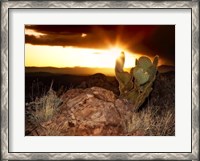 Framed Sunset in the Desert V