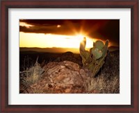 Framed Sunset in the Desert V