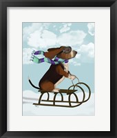 Framed Basset Hound, Sledging