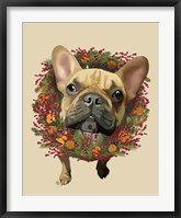 Framed French Bulldog, Cranberry Wreath