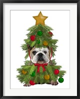 Framed English Bulldog, Christmas Tree Costume