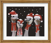 Framed Ostrich, Christmas Gals