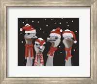 Framed Ostrich, Christmas Gals