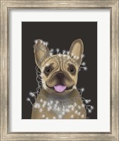 Framed French Bulldog, Christmas Lights 2