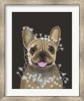 Framed French Bulldog, Christmas Lights 2