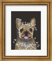 Framed French Bulldog, Christmas Lights 2