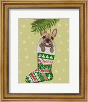 Framed French Bulldog in Christmas Stocking