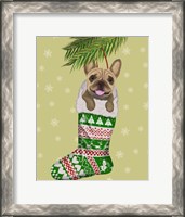 Framed French Bulldog in Christmas Stocking