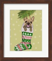 Framed French Bulldog in Christmas Stocking