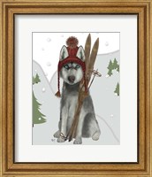 Framed Husky Skiing