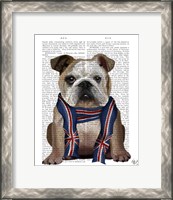 Framed English Bulldog with Scarf