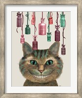 Framed Cheshire Cat and Bottles