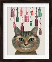 Framed Cheshire Cat and Bottles