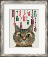 Framed Cheshire Cat and Bottles