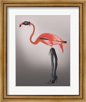 Framed Flamingo with Kinky Boots