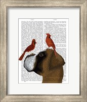 Framed Boxer and Red Cardinals