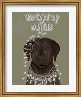 Framed Chocolate Labrador, You Light Up