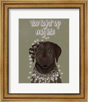 Framed Chocolate Labrador, You Light Up