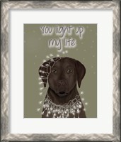 Framed Chocolate Labrador, You Light Up