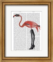 Framed Flamingo with Kinky Boots