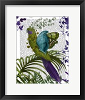 Framed Fantasy Parrot 1