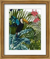 Framed Toucan in Tropical Forest